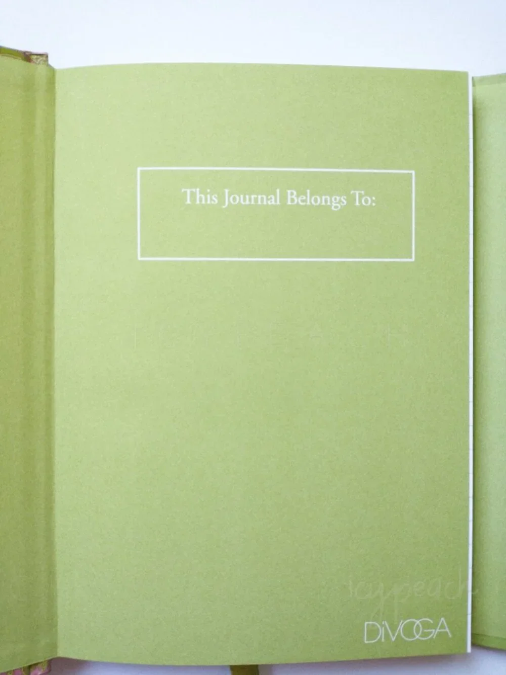 DiVOGA Magnetic Hardcover Journal Lined 5x7 NEW (FLAWS) Green Paisley Notebook